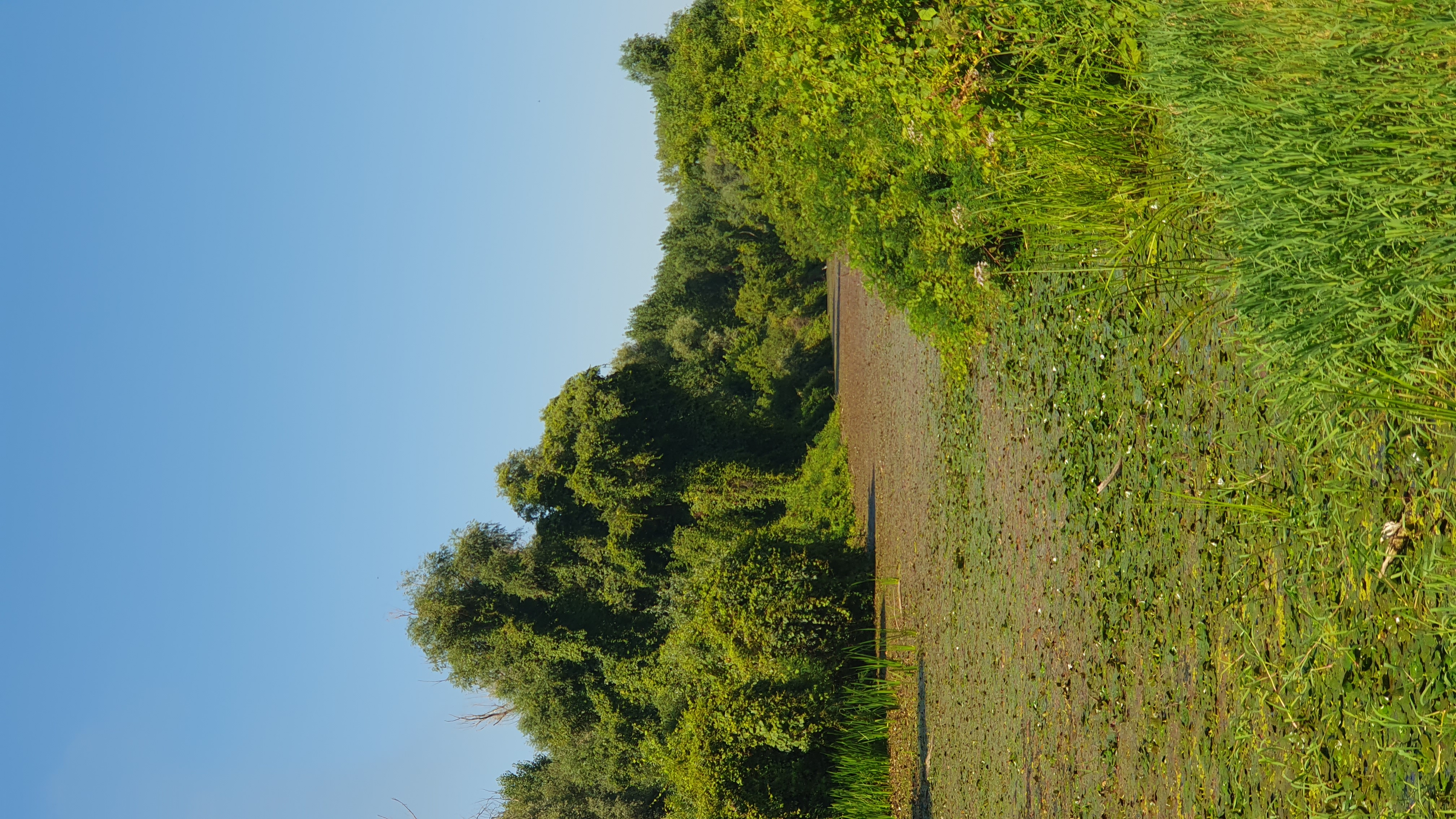 20250812_144538.jpg