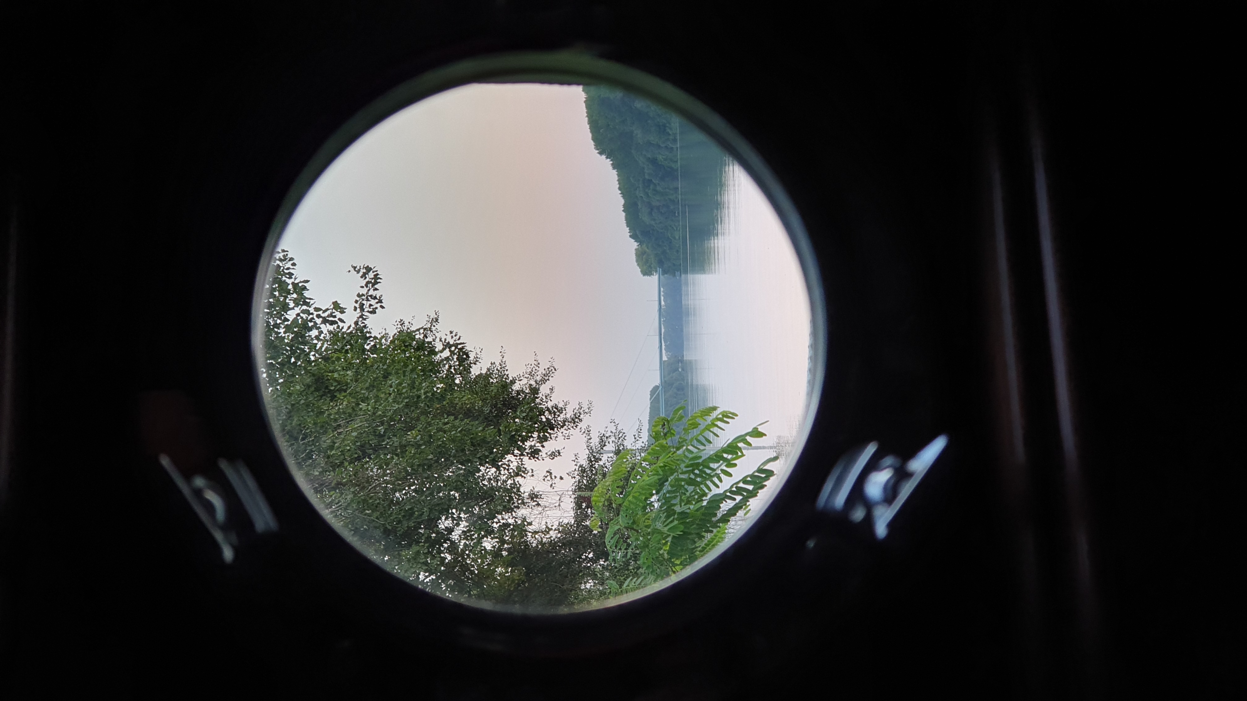 20250816_054628.jpg