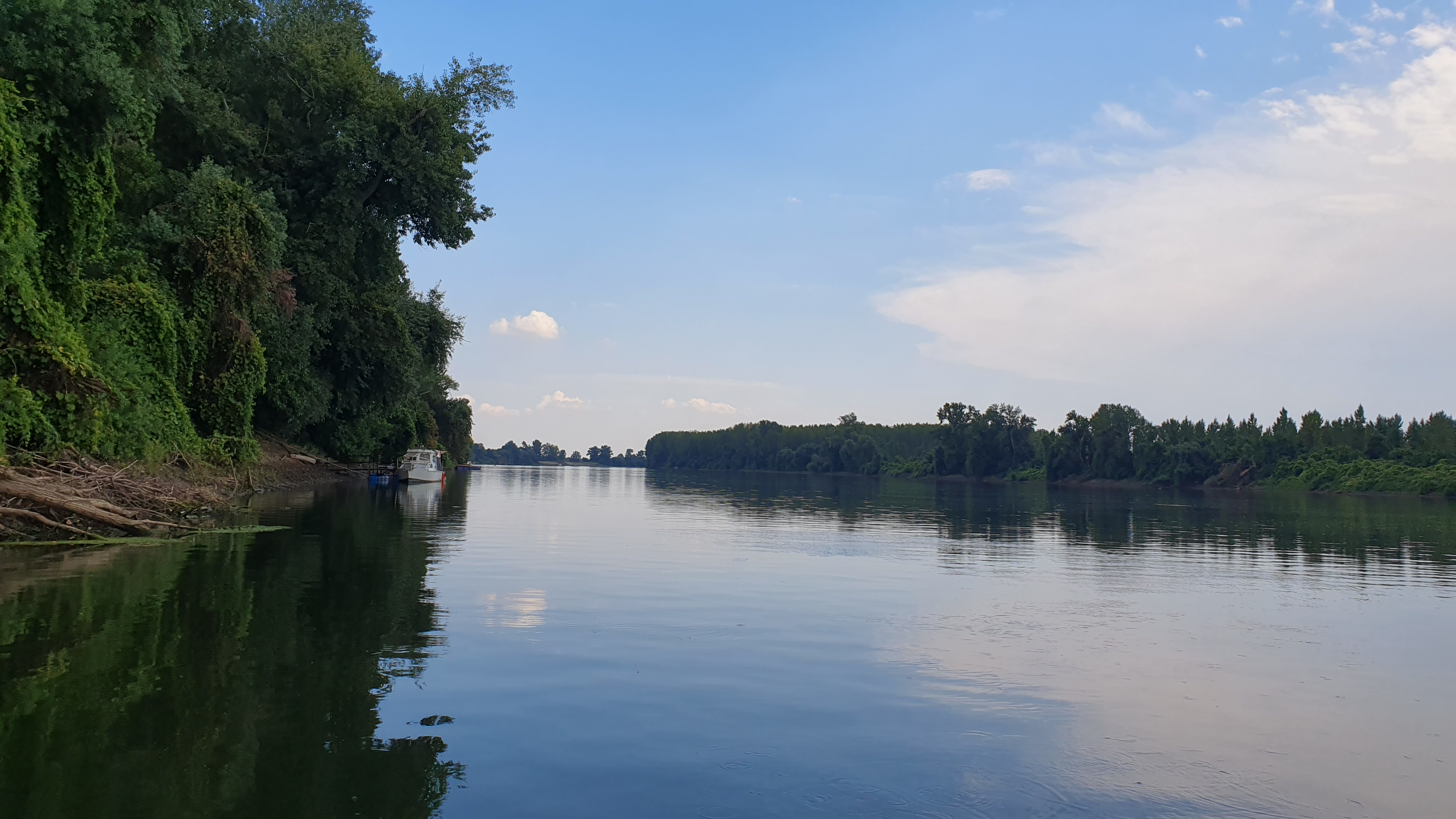 20250817_151754.jpg